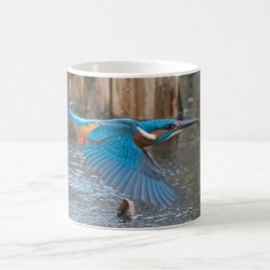 Kingfisher Mug