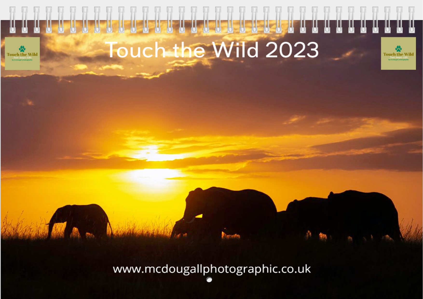 African Wildlife Calendar 2023